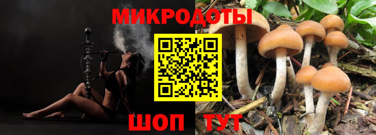 Галлюциногенные грибы Psilocybine cubensis  Псилоцибиновые грибы Psilocybine cubensis  Вход с VPN  Отрадное 